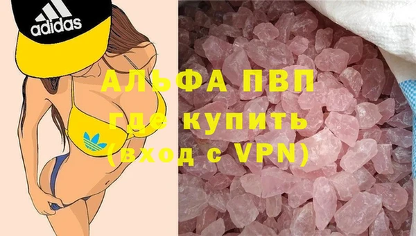 спиды Беломорск