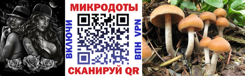 shop телеграм  где купить наркоту  Бутурлиновка  Галлюциногенные грибы мицелий 